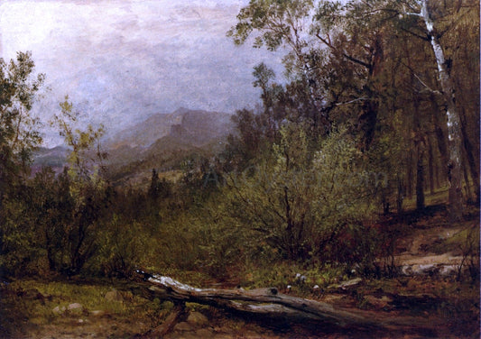  John Frederick Kensett Trotter's Spring, Colorado - Canvas Print