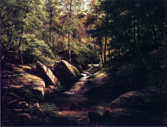 George Hetzel Trout Stream in the Alleghenies - Canvas Print