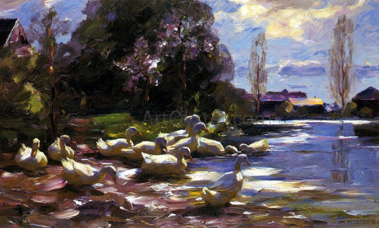  Alexander Koester Twelve Ducks Setting Out - Canvas Print