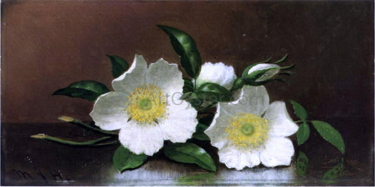  Martin Johnson Heade Two Cherokee Rose Blossoms on a Table (also known as Cherokee Roses) - Canvas Print