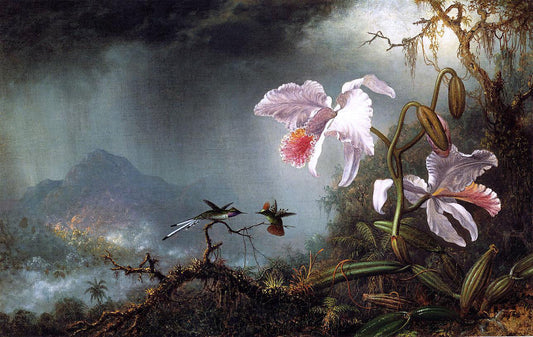  Martin Johnson Heade Two Fighting Hummingbirds with Two Orchids - Canvas Print