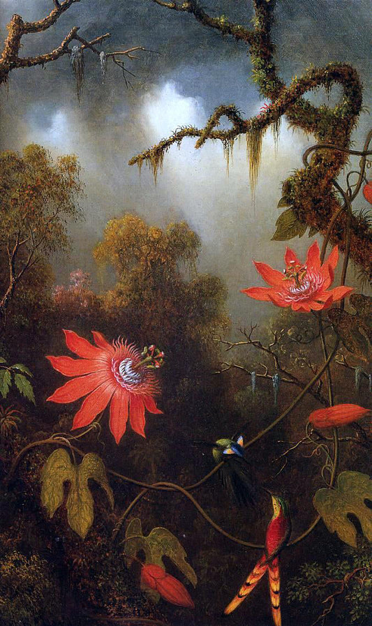  Martin Johnson Heade Two Hummingbirds Perched on Passion Flower Vines - Canvas Print