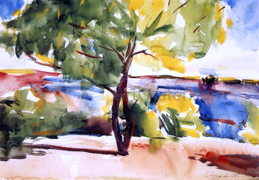  Charles Webster Hawthorne Two Mesquite Trees - Canvas Print