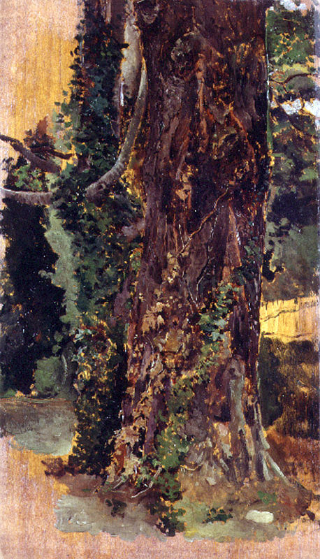  Emilio Sala y Frances Viejo Arbol - Canvas Print