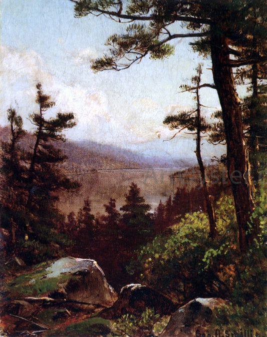  George Henry Smillie View of the Valley - Canvas Print