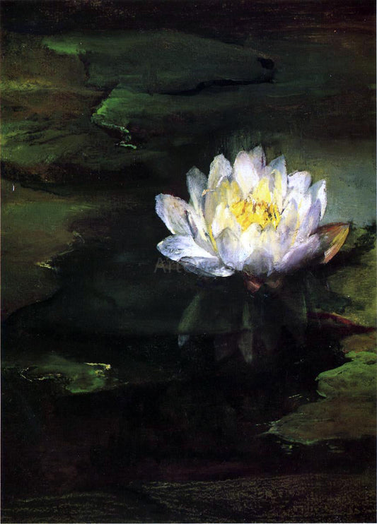  John La Farge Water-Lily, Study from Nature - Canvas Print