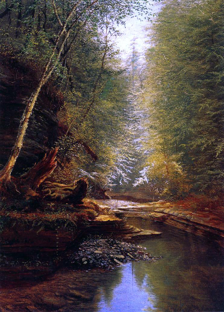  James Hope Watkins Glenn - Canvas Print