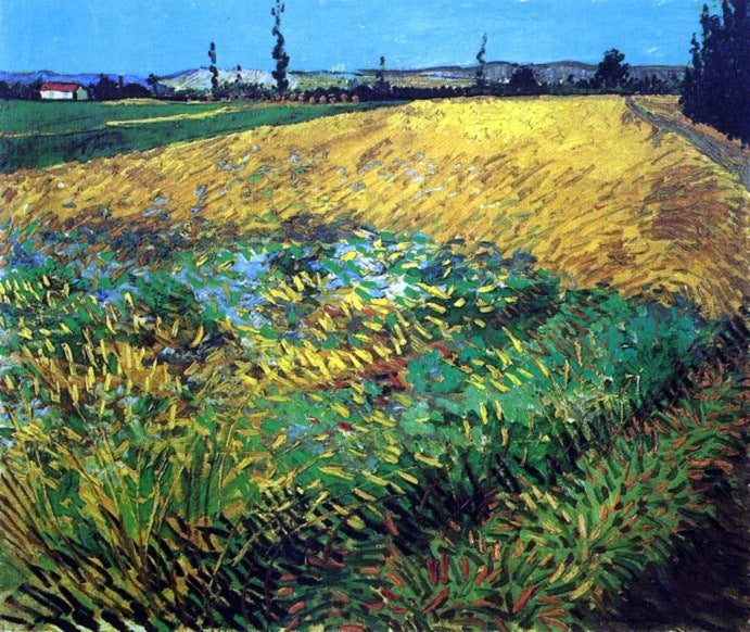  Vincent Van Gogh Wheat Field with the Alpilles Foothills in the Background - Canvas Print