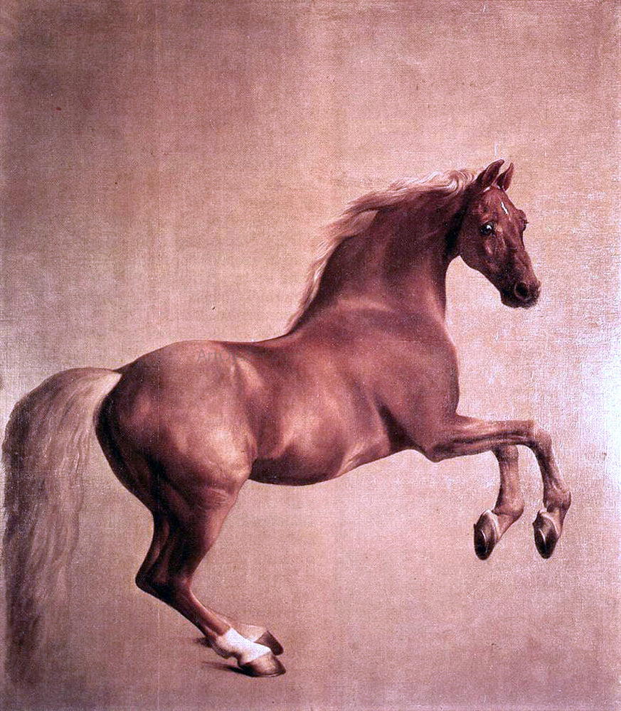  George Stubbs Whistlejacket - Canvas Print