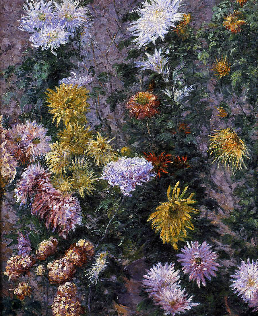  Gustave Caillebotte White and Yellow Chrysanthemums, Garden at Petit Gennevilliers - Canvas Print