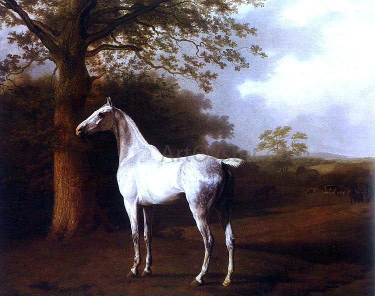  Jacques-Laurent Agasse White Horse in Pasture - Canvas Print