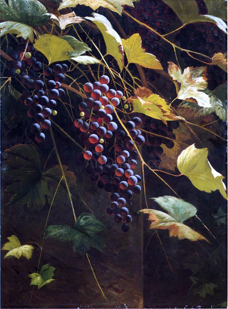  Andrew H. Way Wild Grapes - Canvas Print