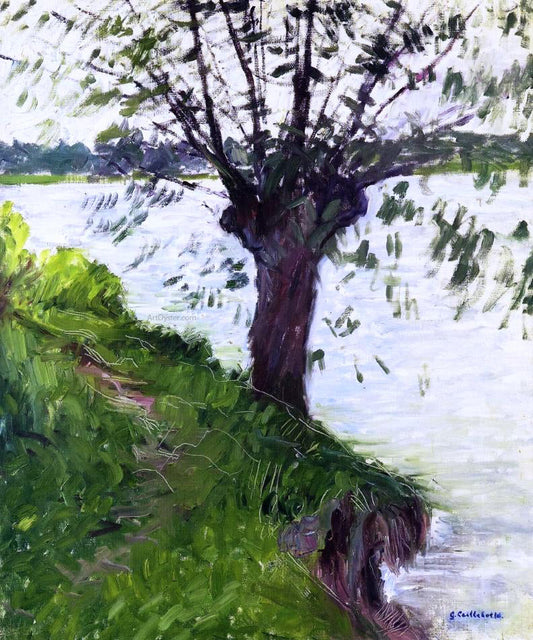  Gustave Caillebotte Willow on the Banks of the Seine - Canvas Print