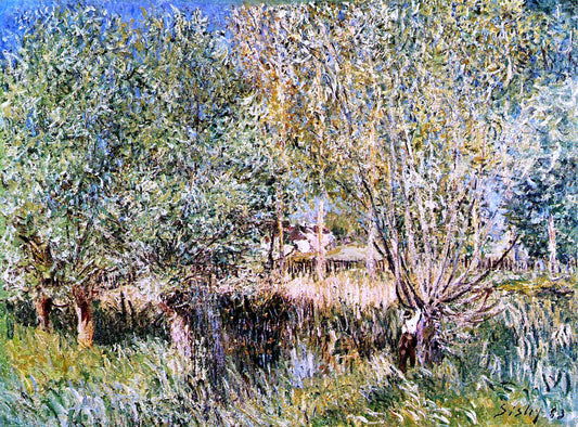  Alfred Sisley Willows on the Banks of the Orvanne - Canvas Print