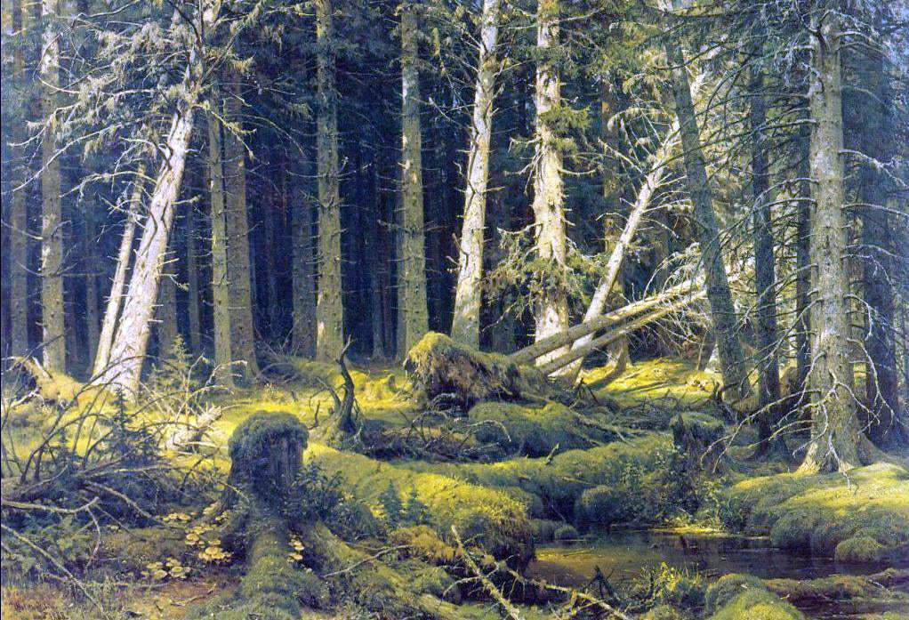  Ivan Ivanovich Shishkin Windfall - Canvas Print